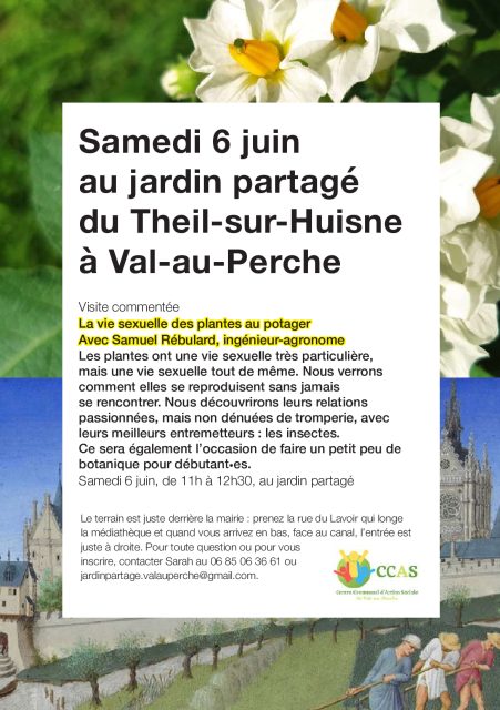 #jardinpartage 🥕Visite commentée « la vie sexuelle des plantes au potager à @valauperche61260🌸Visite commentée à 11h le samedi 6 juin au jardin partagé de Val-au-Perche avec Samuel Rebulard, ingénieur-agronome, Université de Paris-Saclay.🌼Les plantes ont une vie sexuelle très particulière, mais une vie sexuelle tout de même. Nous verrons comment elle se reproduisent sans jamais se rencontrer, et leurs relations passionnées mais non dénuées de tromperies avec leurs meilleurs entremetteurs : les insectes. Ce sera également l’occasion de faire un petit peu de botanique pour débutant.📆Samedi 6 juin
⌚️11h00📍Lieu :
jardin partagé
6 Ruelle du Lavoir, Le Theil - Val-au-PercheOuvert à tous.#France #Perche #Orne #Perchenormand #PnrPerche #Normandie #Valauperche #lepercheornais #theperchetobe #jardin #jardinpartagé #Visite #visite #visitecommentée #Samedi #samedi #sortie #Gratuit #gratuit #potager #viesexuelle #VieSexuelle #plantes