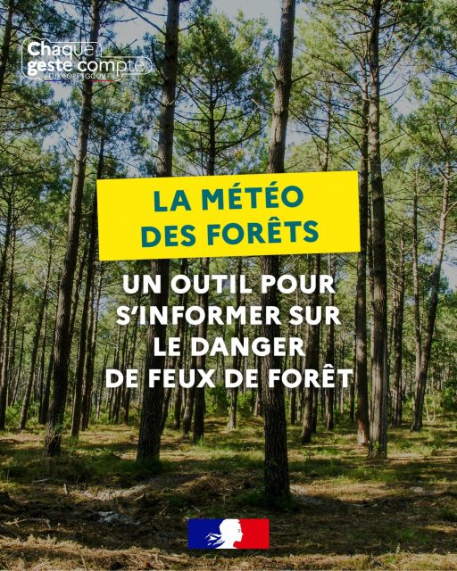 #forêt 🌳Prévention des feux de forêt et de végétation à @valauperche61260 | été 2026Ayons les bons réflexes pour éviter les départs de feu9 feux de forêt sur 10 sont d’origine humaine et pourraient être évités en adoptant les bons réflexes :
• Vous êtes fumeur ? Le bon réflexe, c'est de jeter vos mégots dans un cendrier. En forêt, il est interdit de fumer.• Vous organisez un barbecue ? Le bon réflexe, c'est d'être chez soi ou dans un espace aménagé pour cet usage, sur une terrasse, loin de toute végétation (herbe, broussailles, etc.) et jamais en forêt.• Vous bricolez en plein air ? Le bon réflexe, c'est de travailler loin des espaces sensibles, de les protéger des étincelles et d'avoir un moyen d'extinction (extincteur, seau d’eau) à portée de main.• Vous avez un jardin ? Protégez votre maison en débroussaillant votre terrain et autour de votre maison avant la saison estivale et nettoyez les toitures et les gouttières de tout débris végétaux.• Vous stockez du bois ou des bouteilles de gaz chez vous ? Le bon réflexe, c’est de les éloigner de votre habitation et de les stocker dans un abri fermé.Le risque de départ de feu est encore plus important en période de sécheresse.Lorsque la végétation est asséchée par manque de pluie, un départ de feu devient possible et peut se propager rapidement.En cas d’incendie, appelez le 18, le 112 ou le 114 (pour les personnes sourdes ou malentendantes) et restez à l’abri dans une habitation.
Plus d’informations : feux-foret.gouv.fr