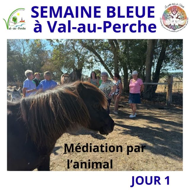💙[ Semaine bleue à Val-au-Perche - Jour 1 ] 💙La Semaine Bleue a démarré en douceur et avec beaucoup de sourires ! 🐾😊Pour cette première journée, place à la médiation par l’animal avec @la.petite.tribu.de.tetelle 🐶🐰 : un joli moment de partage, de complicité et d’émotions pour nos perchevaloises. 💙🎬 Et demain, on continue !
📅 Mardi 6 octobre
🕓 Rendez-vous à 16h au Cinéma Saint-Louis
🎥 Projection du film « L’Enfant du désert »Une nouvelle belle rencontre à partager ensemble ! 💙#SemaineBleue #ValAuPerche #BienVieillir #MédiationParLAnimal #LaPetiteTribudeTételle #CinémaSaintLouis