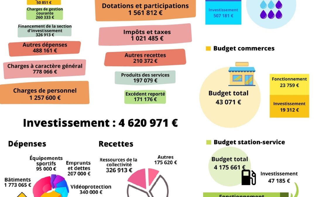 Budget