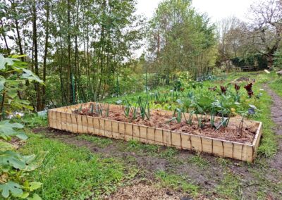 Photo du jardin dans son ensemble