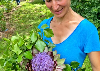 Plante cueillie au sein du jardin