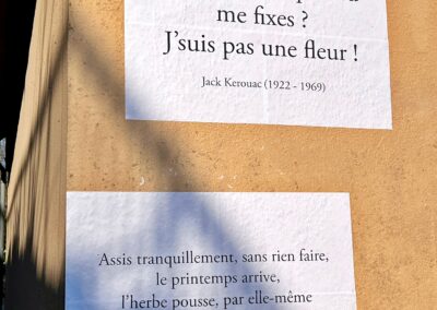 Affiches avec questions sur la nature