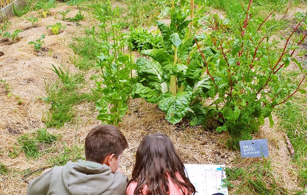 Jardin partagé