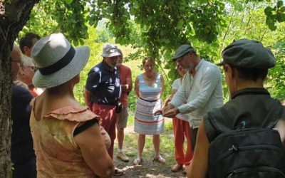 Samedi 6 juin 2026 à 11h : visite commentée « la vie sexuelle des plantes au potager »