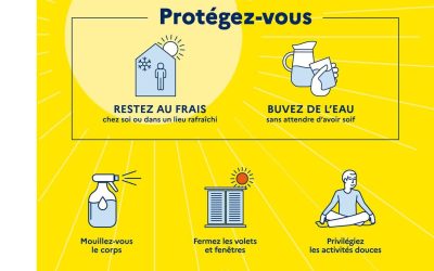 Plan canicule : en cas de fortes chaleurs, adoptez les bons réflexes !