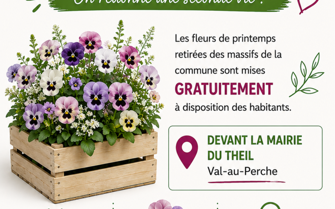 La ville donne une seconde vie aux fleurs