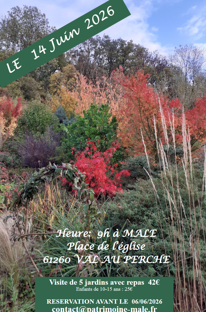 image(19)