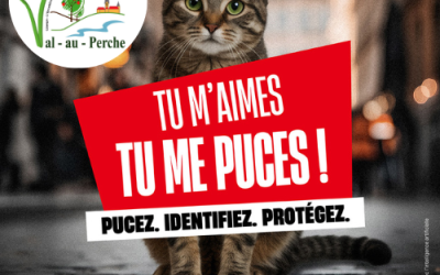 Semaine Nationale de l&rsquo;Identification des Chiens et des Chats du 15 au 21 juin 2026