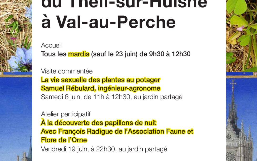 En juin, au jardin partagé du Theil-sur-Huisne