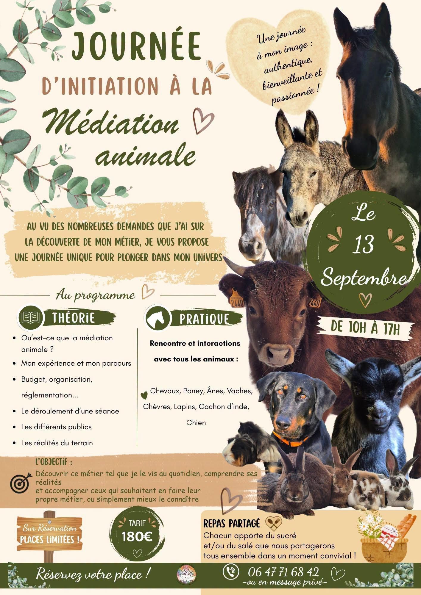 VAP2026_JOURNEE_MEDIATION_ANIMALE_13-09