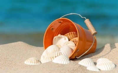 Coquillages, sable, galets, bois flotté… On ne peut pas tout ramasser sur les plages