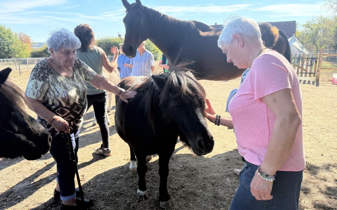 Val-au-Perche : une Semaine Bleue réussie, placée sous le signe du partage et de l’intergénérationnel