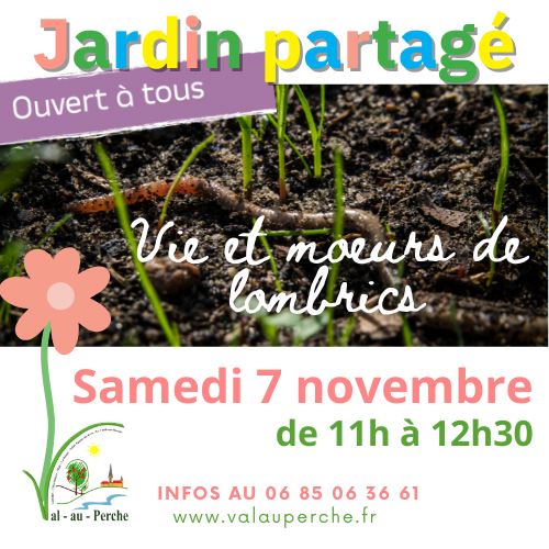 vie lombrics